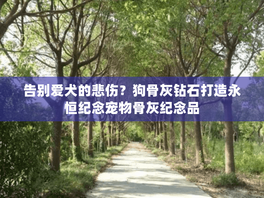 告别爱犬的悲伤？狗骨灰钻石打造永恒纪念宠物骨灰纪念品