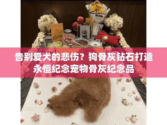 告别爱犬的悲伤？狗骨灰钻石打造永恒纪念宠物骨灰纪念品
