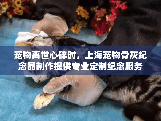 宠物离世心碎时，上海宠物骨灰纪念品制作提供专业定制纪念服务