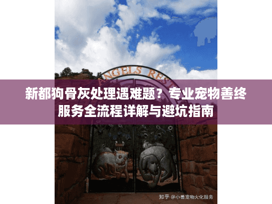 新都狗骨灰处理遇难题？专业宠物善终服务全流程详解与避坑指南