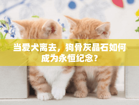 当爱犬离去，狗骨灰晶石如何成为永恒纪念？