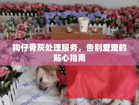 狗仔骨灰处理服务，告别爱宠的贴心指南