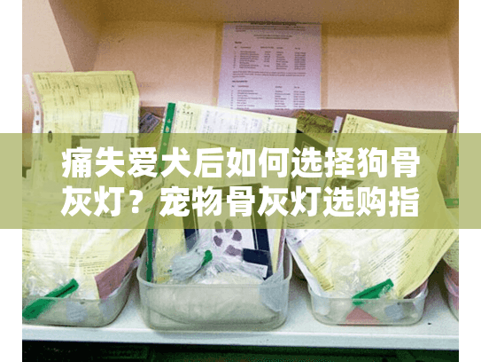 痛失爱犬后如何选择狗骨灰灯？宠物骨灰灯选购指南
