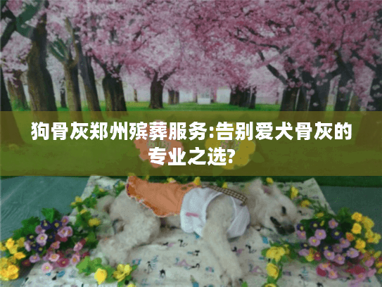 狗骨灰郑州殡葬服务:告别爱犬骨灰的专业之选?
