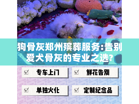 狗骨灰郑州殡葬服务:告别爱犬骨灰的专业之选?