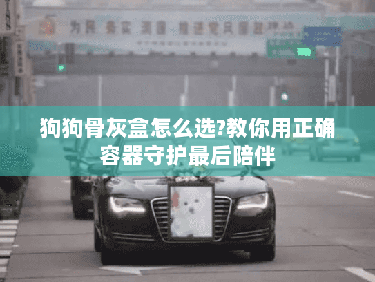 狗狗骨灰盒怎么选?教你用正确容器守护最后陪伴