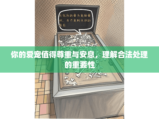 你的爱宠值得尊重与安息，理解合法处理的重要性