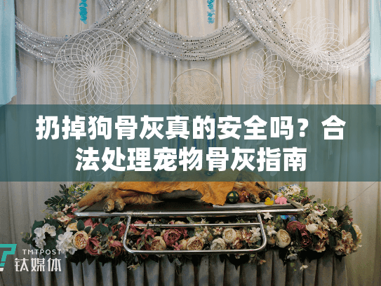 扔掉狗骨灰真的安全吗？合法处理宠物骨灰指南