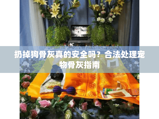 扔掉狗骨灰真的安全吗？合法处理宠物骨灰指南
