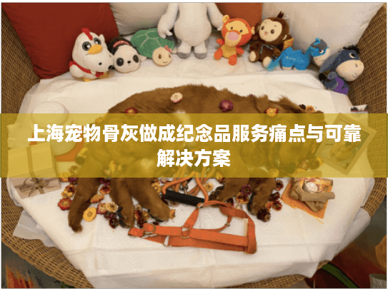 上海宠物骨灰做成纪念品服务痛点与可靠解决方案