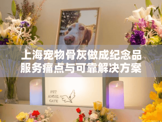 上海宠物骨灰做成纪念品服务痛点与可靠解决方案