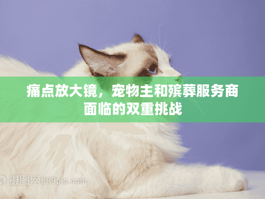 痛点放大镜，宠物主和殡葬服务商面临的双重挑战