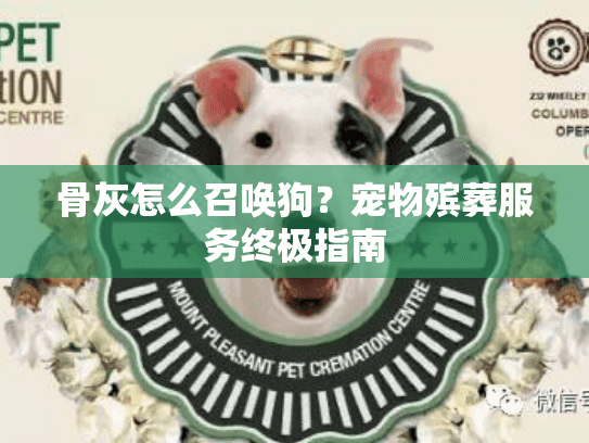 骨灰怎么召唤狗？宠物殡葬服务终极指南
