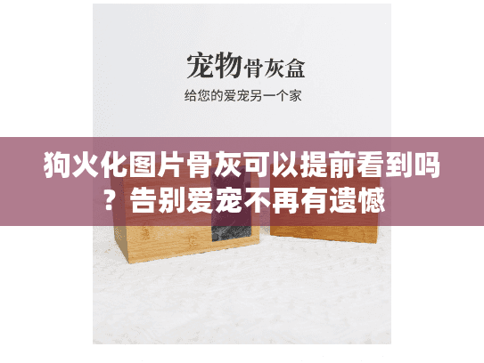 狗火化图片骨灰可以提前看到吗？告别爱宠不再有遗憾