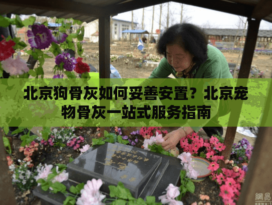 北京狗骨灰如何妥善安置？北京宠物骨灰一站式服务指南