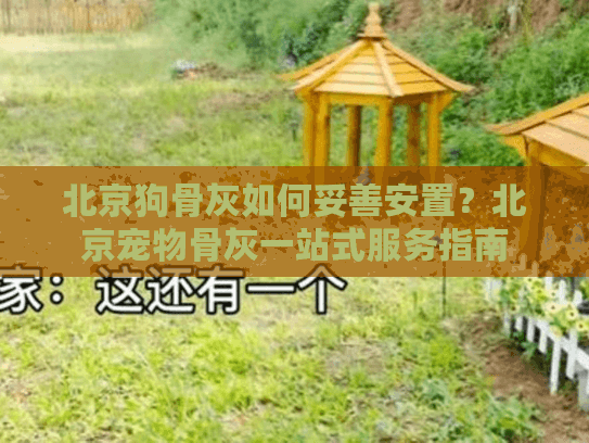 北京狗骨灰如何妥善安置？北京宠物骨灰一站式服务指南