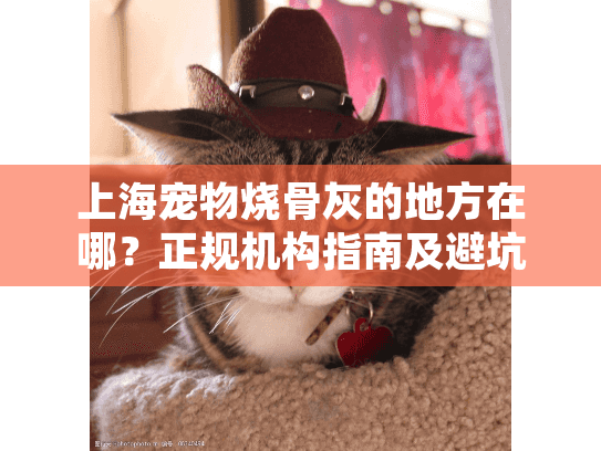 上海宠物烧骨灰的地方在哪？正规机构指南及避坑建议