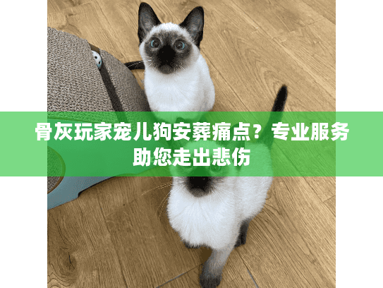 骨灰玩家宠儿狗安葬痛点？专业服务助您走出悲伤