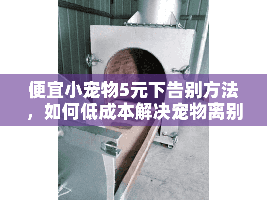 便宜小宠物5元下告别方法，如何低成本解决宠物离别伤痛？
