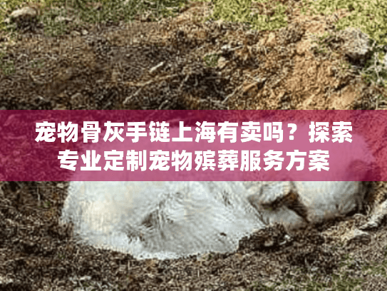 宠物骨灰手链上海有卖吗？探索专业定制宠物殡葬服务方案