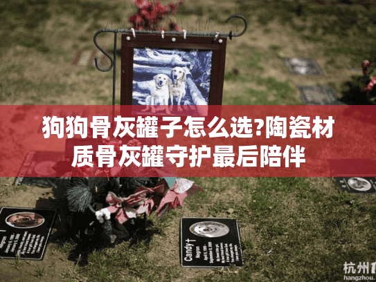 狗狗骨灰罐子怎么选?陶瓷材质骨灰罐守护最后陪伴