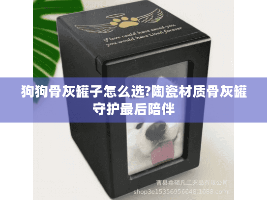 狗狗骨灰罐子怎么选?陶瓷材质骨灰罐守护最后陪伴