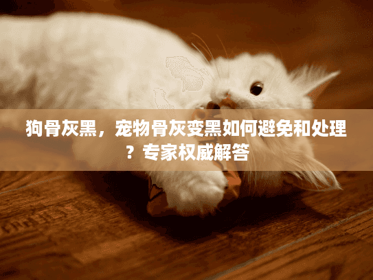 狗骨灰黑，宠物骨灰变黑如何避免和处理？专家权威解答