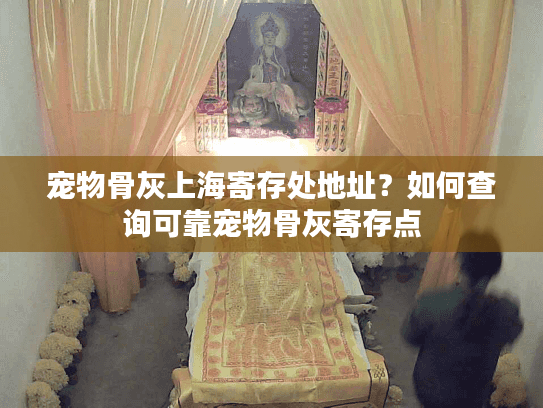 宠物骨灰上海寄存处地址？如何查询可靠宠物骨灰寄存点