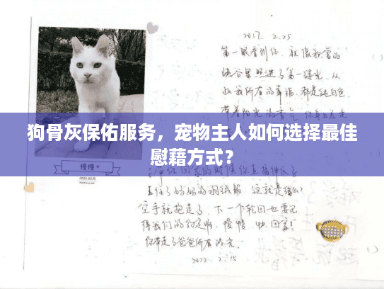 狗骨灰保佑服务，宠物主人如何选择最佳慰藉方式？