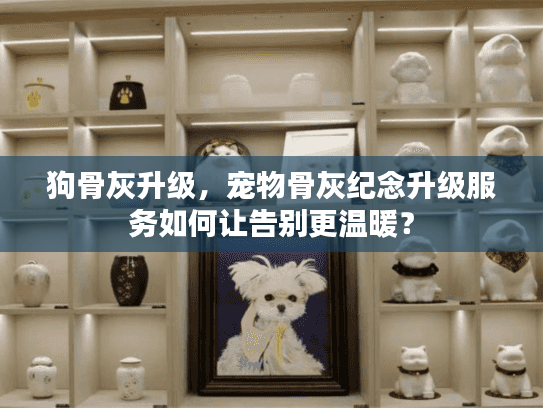 狗骨灰升级，宠物骨灰纪念升级服务如何让告别更温暖？