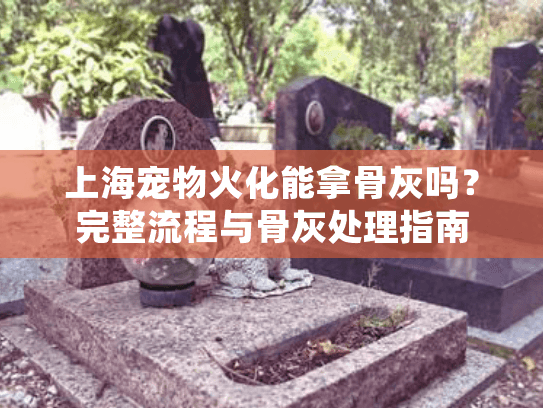 上海宠物火化能拿骨灰吗？完整流程与骨灰处理指南