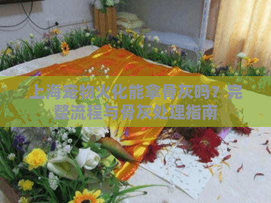 上海宠物火化能拿骨灰吗？完整流程与骨灰处理指南
