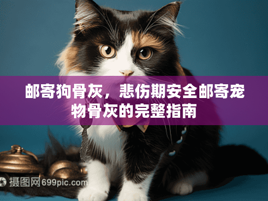 邮寄狗骨灰，悲伤期安全邮寄宠物骨灰的完整指南
