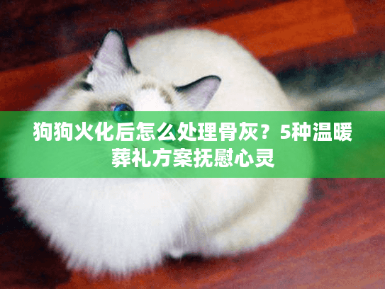 狗狗火化后怎么处理骨灰？5种温暖葬礼方案抚慰心灵