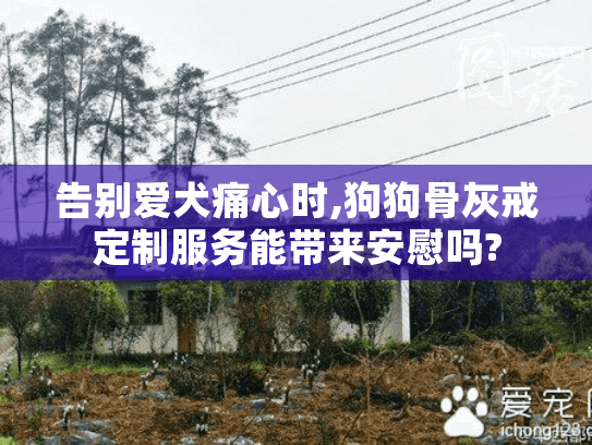告别爱犬痛心时,狗狗骨灰戒定制服务能带来安慰吗? 告别爱犬痛心时,狗狗骨灰戒定制服务能带来安慰吗?