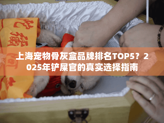 上海宠物骨灰盒品牌排名TOP5？2025年铲屎官的真实选择指南