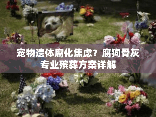 宠物遗体腐化焦虑？腐狗骨灰专业殡葬方案详解