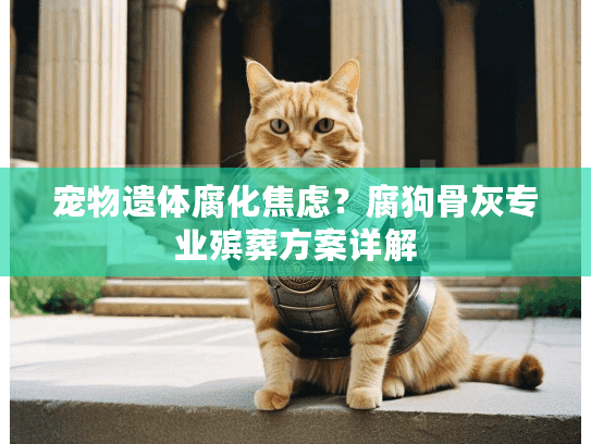 宠物遗体腐化焦虑？腐狗骨灰专业殡葬方案详解