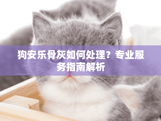 狗安乐骨灰如何处理？专业服务指南解析