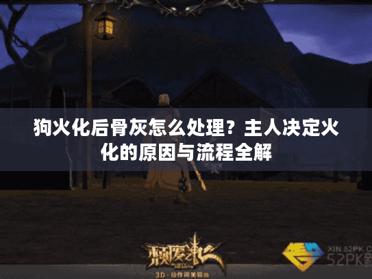 狗火化后骨灰怎么处理？主人决定火化的原因与流程全解