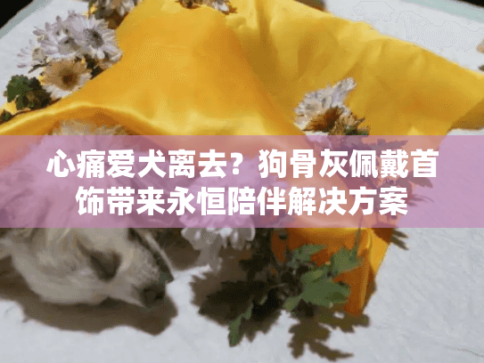 心痛爱犬离去？狗骨灰佩戴首饰带来永恒陪伴解决方案