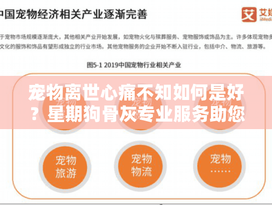 宠物离世心痛不知如何是好？星期狗骨灰专业服务助您轻松告别