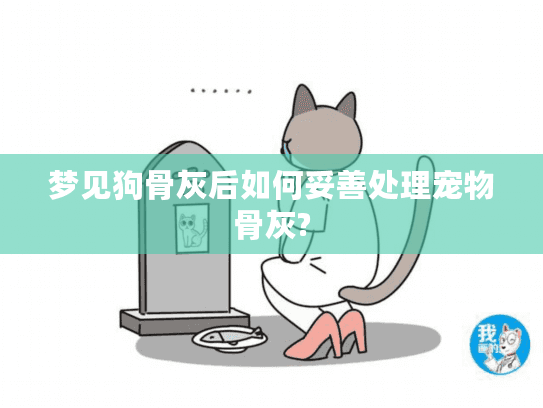 梦见狗骨灰后如何妥善处理宠物骨灰?