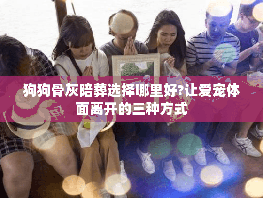 狗狗骨灰陪葬选择哪里好?让爱宠体面离开的三种方式