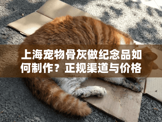 上海宠物骨灰做纪念品如何制作？正规渠道与价格参考指南