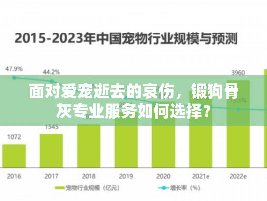 面对爱宠逝去的哀伤，锻狗骨灰专业服务如何选择？
