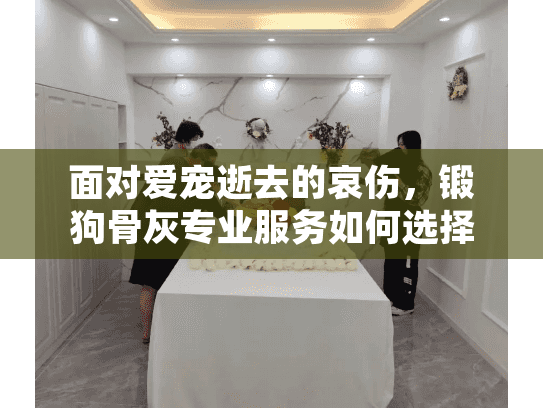 面对爱宠逝去的哀伤，锻狗骨灰专业服务如何选择？