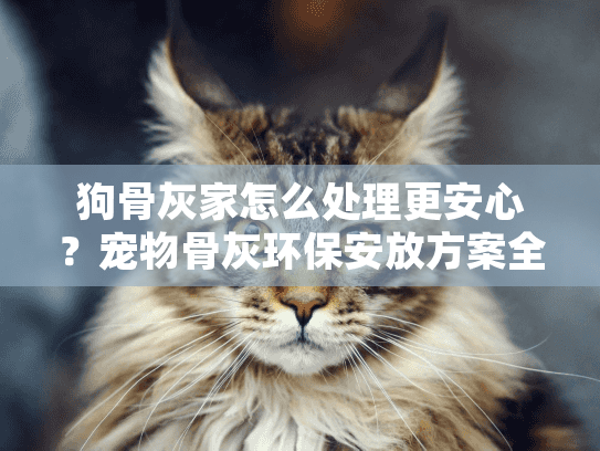 狗骨灰家怎么处理更安心？宠物骨灰环保安放方案全解析