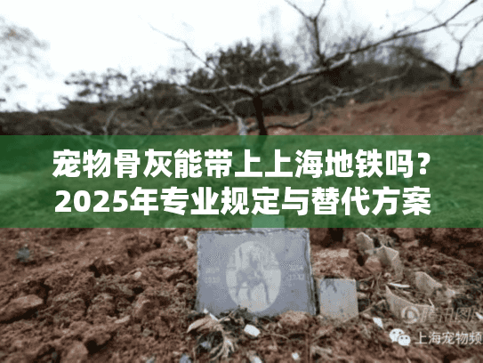 宠物骨灰能带上上海地铁吗？2025年专业规定与替代方案解析