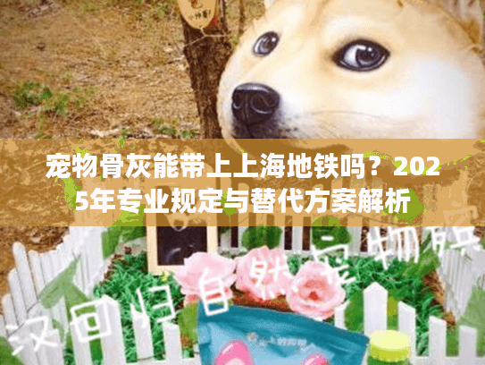 宠物骨灰能带上上海地铁吗？2025年专业规定与替代方案解析